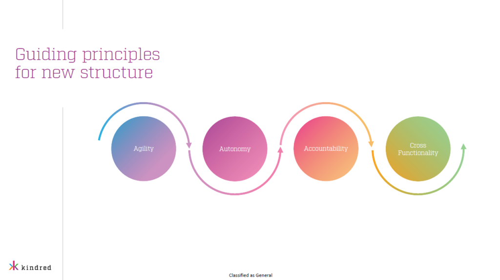 Guiding journey centricity principles for the new structure 