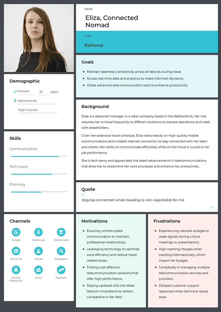 B2C telecom customer persona